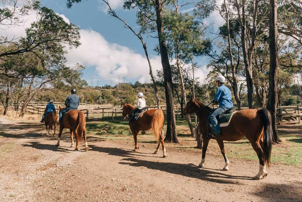 Country Club Tasmania 4* Launceston