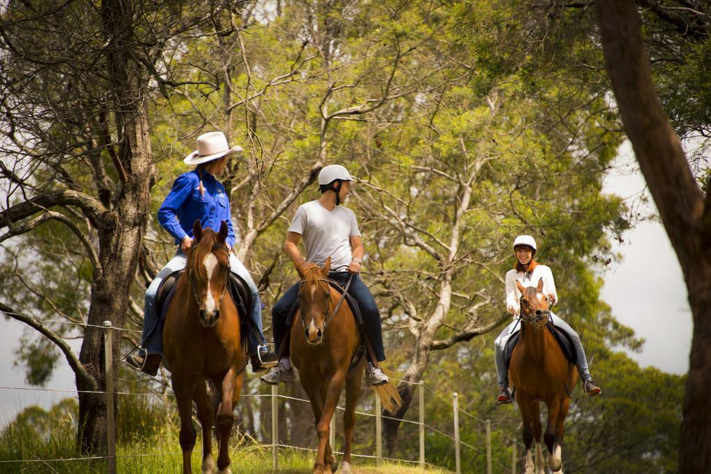 Country Club Tasmania Resort