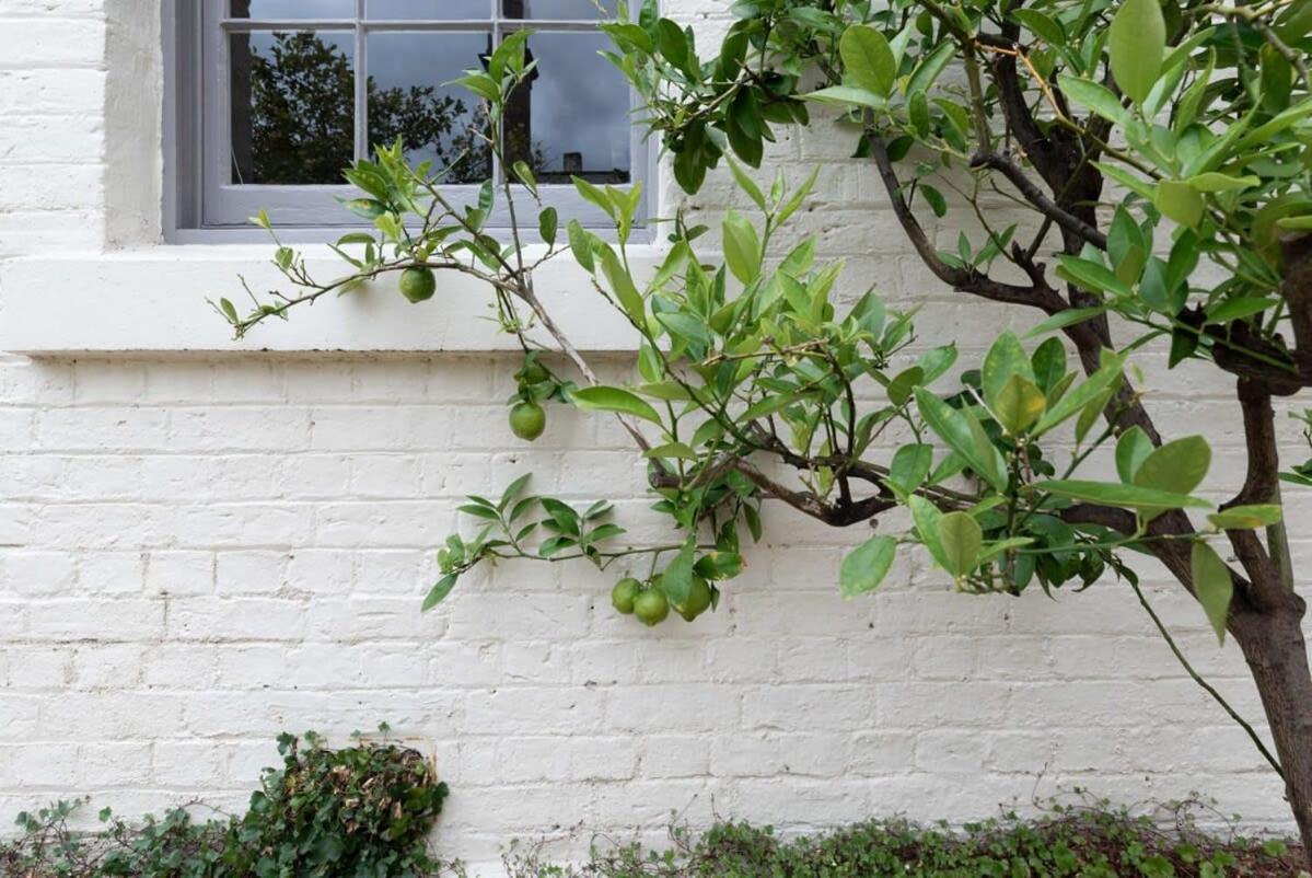 Holiday home Luxe Heritage On Balfour: A Time Traveller's Delight