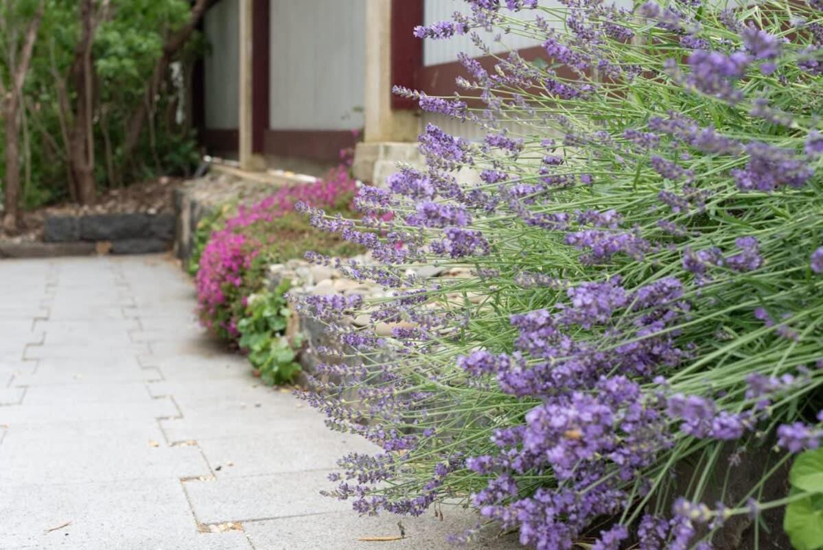 Luxe Heritage On Balfour: A Time Traveller's Delight Holiday home