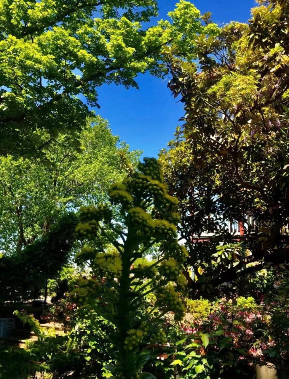 Elsmere Heritage Gardens & *