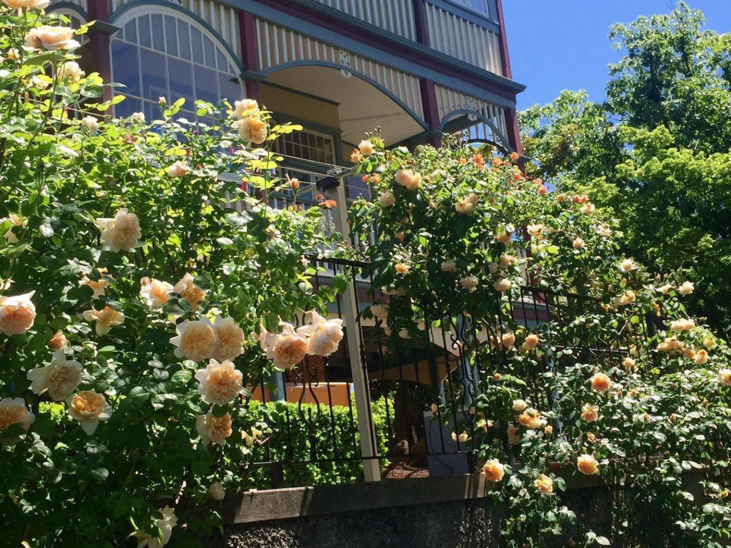 Elsmere Heritage Gardens &