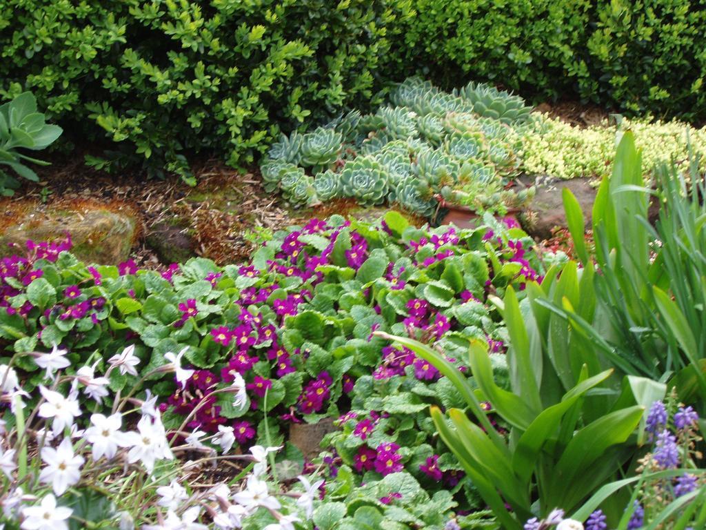 Apartment Topiary Haven *