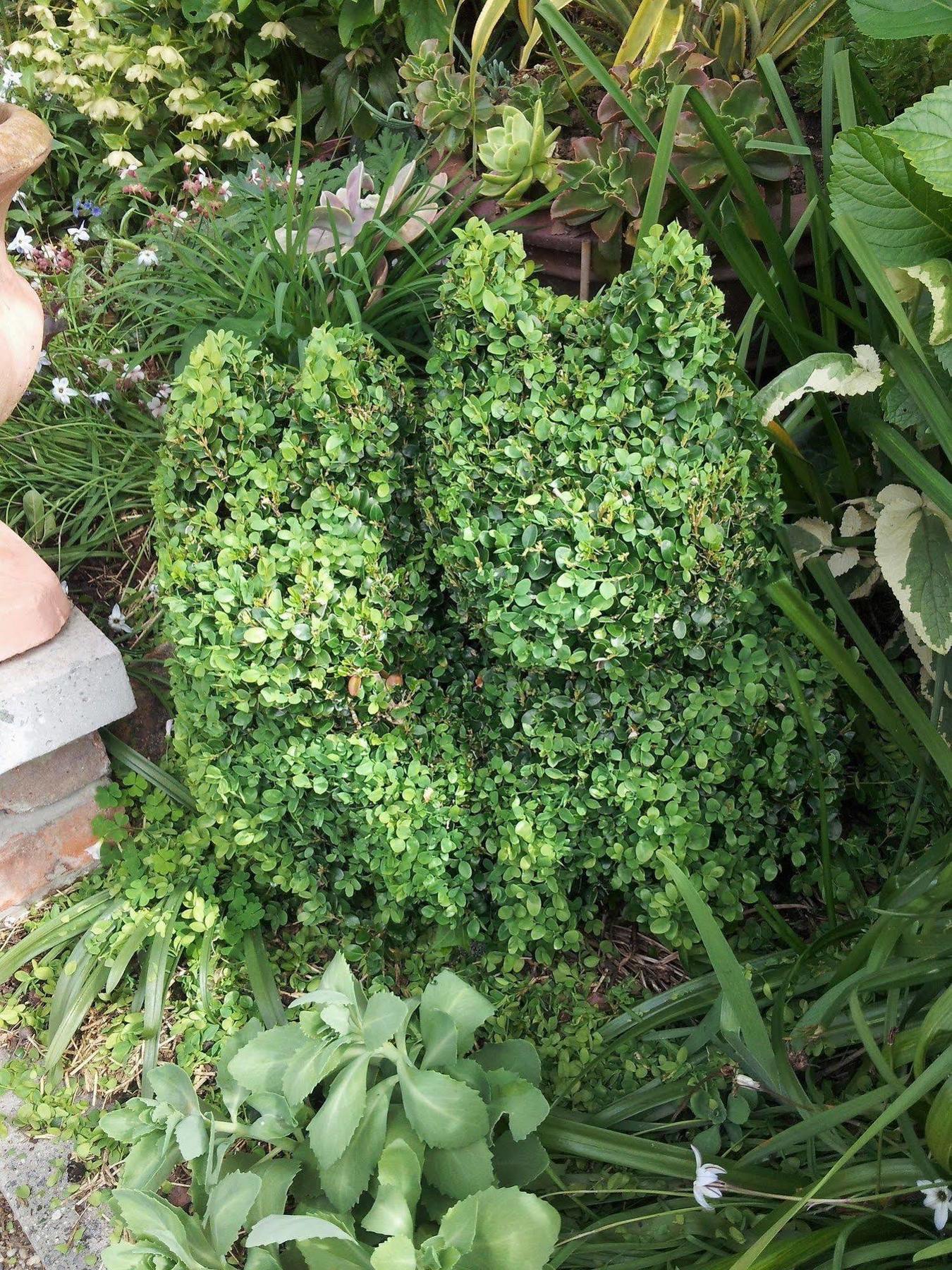 Apartment Topiary Haven Launceston