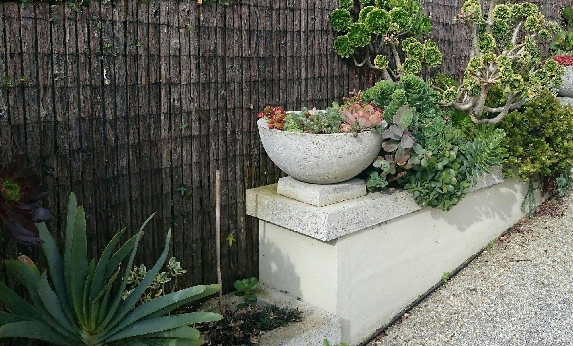 Topiary Haven Launceston