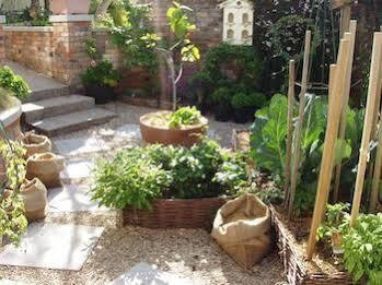 Topiary Haven Apartment Launceston