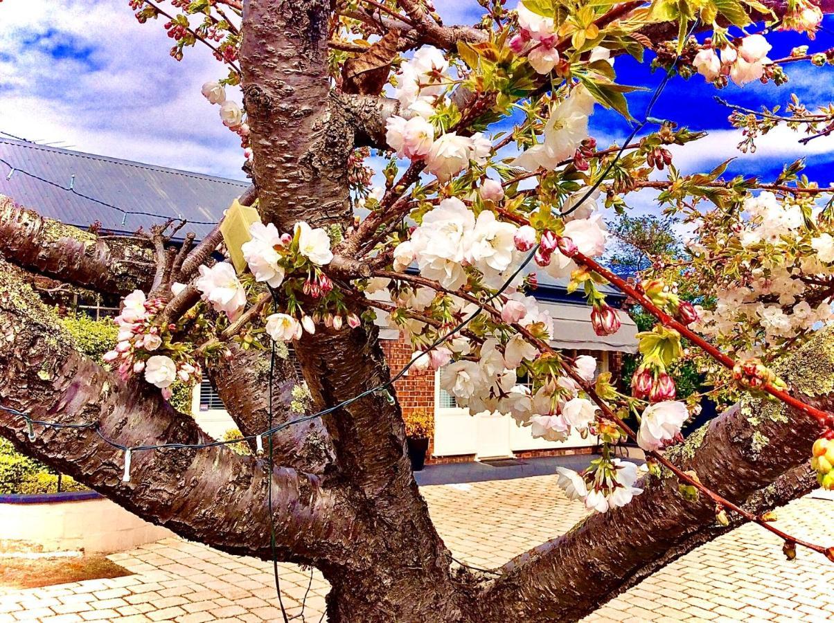 Kurrajong House Bed & Breakfast Launceston