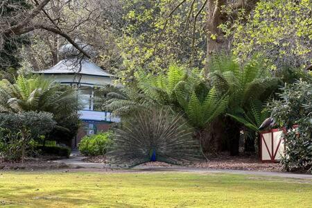 Renovated Near Cataract Gorge Holiday home *