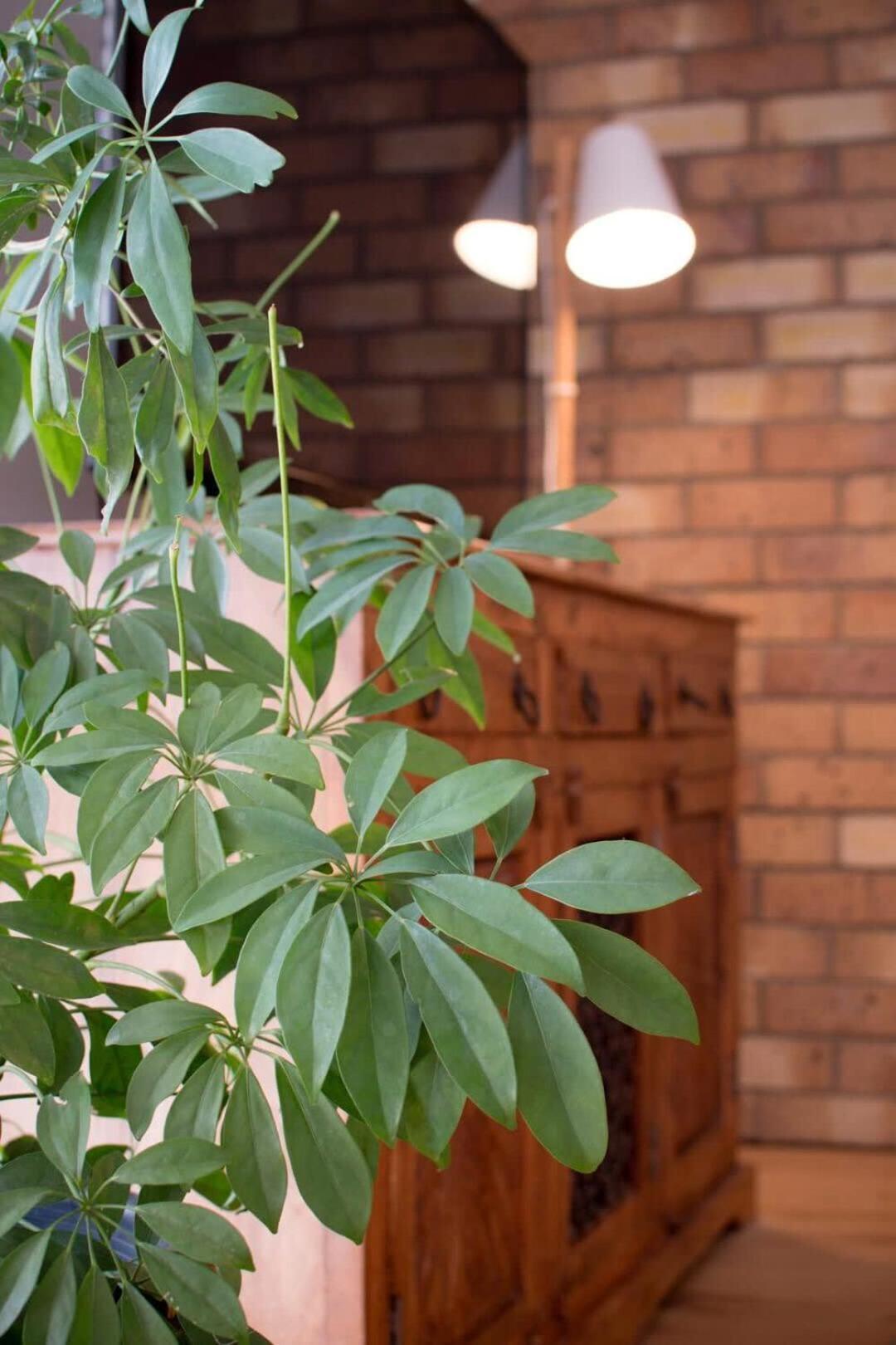 Apartment Comfort: Near Hospital & With Parking Launceston