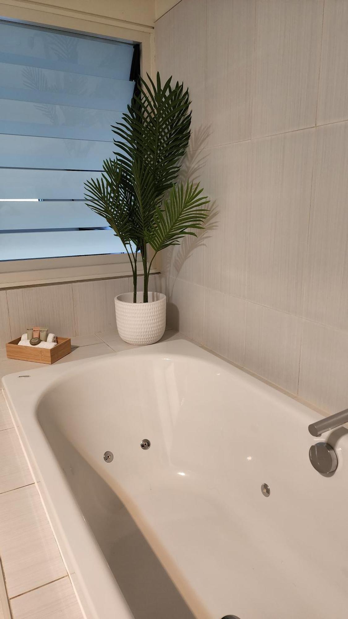 Number 9 On Cataract Villa